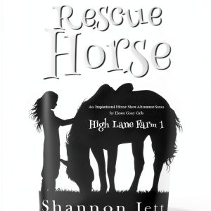 High Lane Farm: A Children's Horse Adventure-0