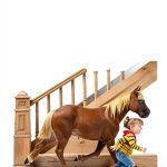 Cowgirl Kate and Cocoa Book 5 Kindle by Clarion – View Horse Tale-0