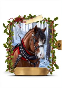 Horse Diaries: Special Edition, English, 210 pages-0