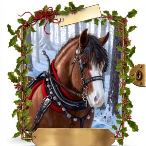 Horse Diaries: Special Edition, English, 210 pages-0